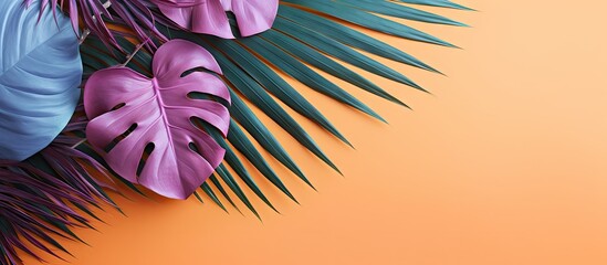 Aufkleber - Minimal summer exotic concept with colorful tropical leaves on a monochromatic background ideal for inserting text