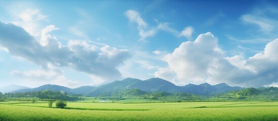 Poster - Scenic rural landscape of lush green fields under sunny skies with clouds above
