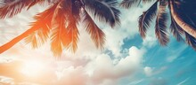 Vintage Filtered Tropical Palm Tree With Sunshine In Blue Sky And Abstract Clouds As Background Summer Vacation And Adventure In Nature Concept