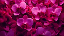 Abstract Background With Pink Orchid Flowers