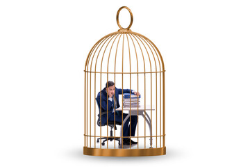 Wall Mural - Businessman caught in the cage