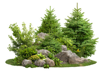 Wall Mural - Cutout stones surrounded by fir trees and green plants. Garden design isolated on transparent background. Decorative shrub for landscaping