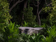 © Vanitjan - Rock stone podium in tropical forest for pedestal for product display