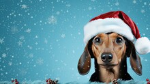 Happy Dachshund In Santa Claus Hat On Christmas Holiday Time. Digital Art On Blue Background.