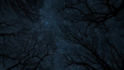 Wall Mural - Starry Night Sky Animation Landscape Background