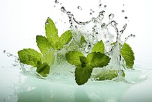 Fresh Mint Leaves And Water Flow Splash Menthol, Peppermint Isolated On White Background