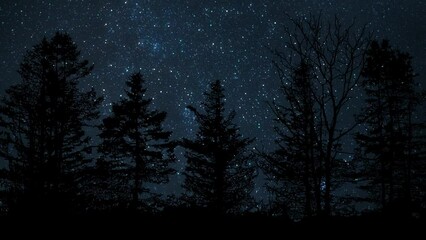 Wall Mural - Forest Landscape With Moving Night Sky