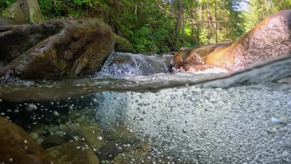 Poster - River with clear water in the tropical rainforest. Half underwater slow motion shot of stream between stones with small waterfalls. Pure water with bubbles in jungle river