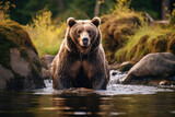 Fototapeta  - Brown bear grizzly at the watering hole