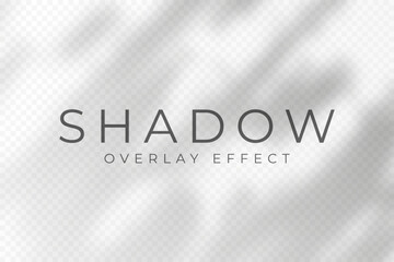 Leinwandbilder - Shadow overlay effect. Transparent soft light and shadows from plant branches, leaves and foliage. Mockup of abstract transparent shadow overlay effect and natural lightning scene. Vector