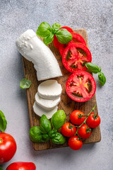 Wall Mural - Salad caprese with mozzarella, sliced tomatoes, spices and fresh basil. Home made food.