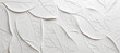 Texture leaves closeup background plant abstract autumn white foliage nature fall