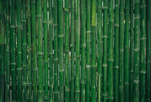 Empty Green Bamboo Natural Wall Panel, Abstract  Wood Background And Texture. Patterns, Quoit, Old, Ancient, Rotted, Obsolete Weathered Cracked, Space For Work, Vintage Wallpaper, Close Up