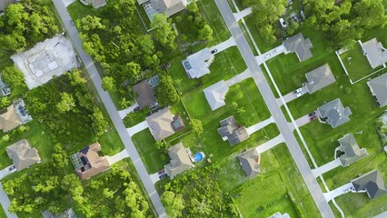 Wall Mural - Aerial view of street traffic with driving cars in small town America suburban landscape with private homes between green palm trees in Florida quiet residential area