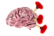 Human brain with tranquillizer darts, 3D rendering isolated on transparent background