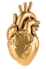 Poster - Golden Human Heart, 3D rendering isolated on transparent background