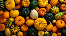 Abundant Harvest, Vibrant Orange And Green Autumn Vegetables In Top View Thanksgiving Banner