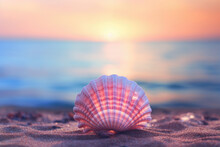 Seashell Travel Beautiful Background
