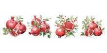 Watercolor Pomegranate Clipart For Graphic Resources