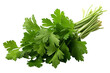 Fresh green coriander leaves isolated on transparent background in PNG