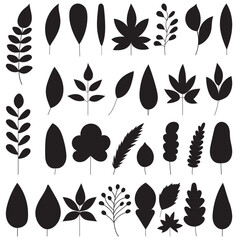 Wall Mural - set of tree leaves silhouette on white background vector