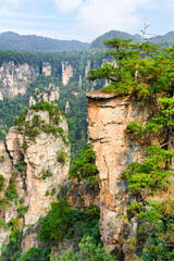 Sticker - Awesome view of trees growing on top of rock, Avatar Mountains