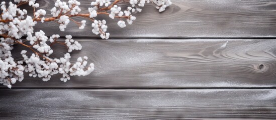 Poster - Top view of a snowy branch on a Christmas themed wooden background with space for text