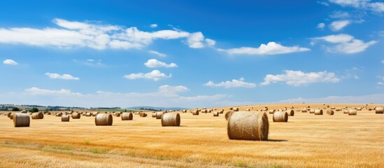 Aufkleber - Hay bales in an agricultural field blue sky in the background