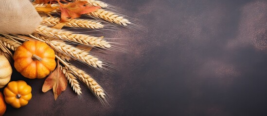 Fototapete - Thanksgiving or Halloween themed autumn composition with pumpkins leaves and wheat depicting festive decor Spacious flat lay with room for text