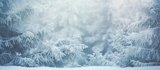 Leinwandbilder - Winter forest with snow covered spruce branches during snowfall Outdoor nature background for Christmas card with space for text