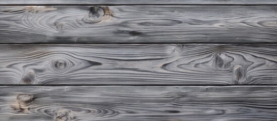 Poster - Copy space closeup of natural wood background in gray