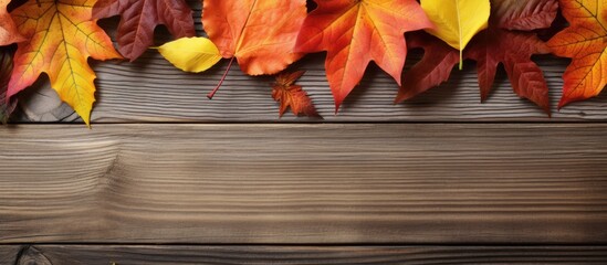 Poster - Fall foliage on a wooden backdrop