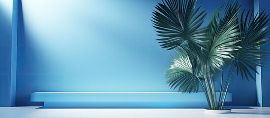 Poster - Studio background with blue color gradient empty room with window shadows flowers and palm leaves 3D room with copy space for product presentation