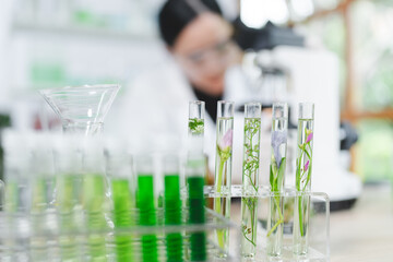Wall Mural - plant in medical pharmacy science research at chemical medicine laboratory for pharmaceutical indust