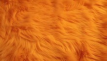 A Close Up Of A Textured Orange Fur Texture Background