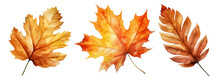 Set Of Artistic Watercolor Style Autumn Leaves Isolated On White Background. Fall Nature Elements.