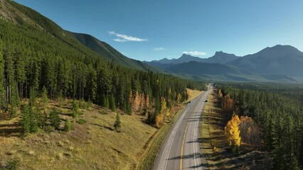 Wall Mural - the road in the mountain valley. travelling by car. landscape from the air. video for background. fa