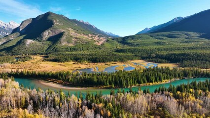 Wall Mural - drone view of a forest, rivers and mountains in the rocky mountains. landscape from the air. video f