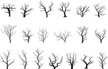 Bare Trees Black Silhouettes. Isolated Tree Autumn Style Design. Winter Season Forest Plants, Branches And Trunks. Nature Vector Graphic Elements