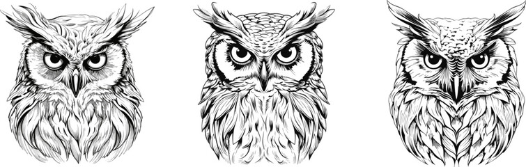 Wall Mural - Owls black sketch. Angry owl, hand drawn wild forest birds heads. Decorative engraving illustration, abstract vector bird set