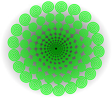 Circle Repeated In Fibonacci Vector Isolated. Crossed By Circles, Creating Bend Triangles, Similar Geometrical Arrangements Of Sunflower Seeds And Pine Cones.