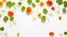 Nasturtium Flowers And Leaves Pattern On White Background, Floral Flat Lay 