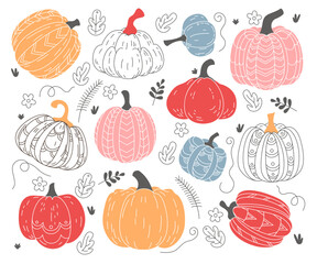 Wall Mural - Autumn pumpkin vegetable Halloween and thanksgiving food isolated drawing set in different style