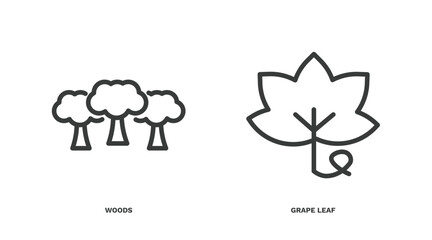 Wall Mural - set of nature thin line icons. nature outline icons included woods, grape leaf vector.