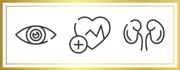 Poster - outline icons set. linear icons sheet included eye, health, kidney vector.
