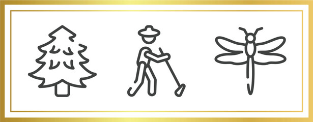 Poster - insects outline icons set. linear icons sheet included pine tree, gardener, dragonfly vector.