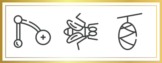 Poster - insects outline icons set. linear icons sheet included branch, gadfly, cocoon vector.