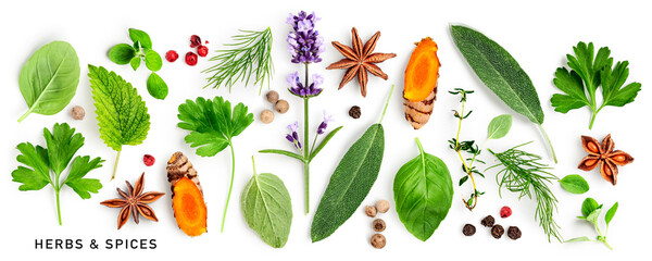 Wall Mural - Fresh herbs and spices collection isolated on white background.