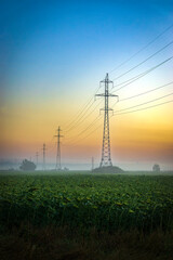 Foggy dawn over a high-voltage power line