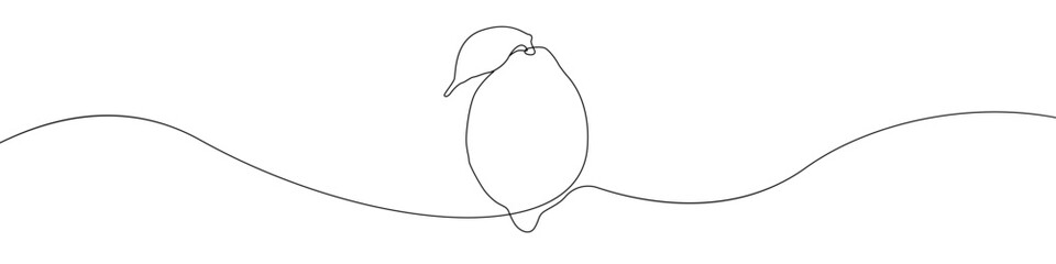 Poster - Lemon linear hand drawn vector icon. Vector continuous One line background three lemons. Lemon slice vector icon. Outline citrus lemon continuous line vector.
